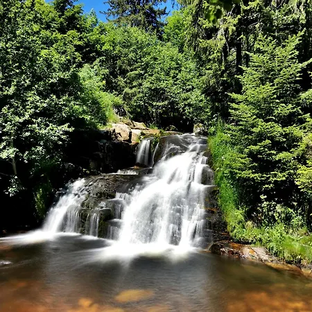 Schwarzwaldliebe, Daire