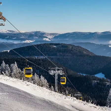 Daire Schwarzwaldliebe, *