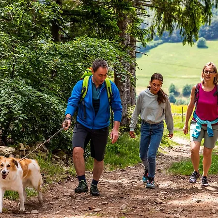 Schwarzwaldliebe, Daire Todtnau